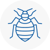Bed Bug Extermination In Failsworth